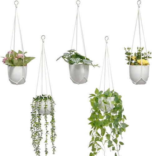 Macrame plant hanger pack - hanger,